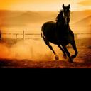 مسلط البقمي (@00600600B) Twitter