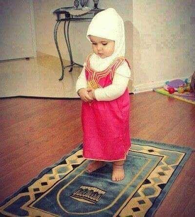 ShailTanhai's profile picture. 