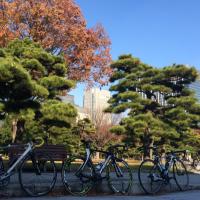 Shogoじてんしゃあか (@bianchi_orbea) 's Twitter Profile