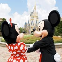 Disney_Iyasii's profile picture. ディズニーの癒される画像を色々まとめてみました♡お気軽にフォロー、RTよろしくです(*´ω｀*)
