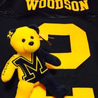 屈狸馬鹿ハンター〽️ (@gobluewolverins) 's Twitter Profile Photo 屈狸馬鹿ハンター〽️ (@gobluewolverins) 's Twitter Profile Photo