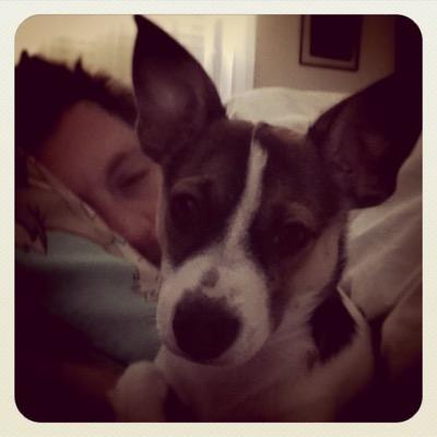 Jonathan C. Blanchard : I Love God, vintage toys, nature, and my puppy.  I live in a vintage toy store! I don't ever want to grow up!