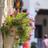 ndo1414a's profile image