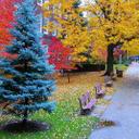 Tan Hock Soon - @MckktanSoon - Twitter