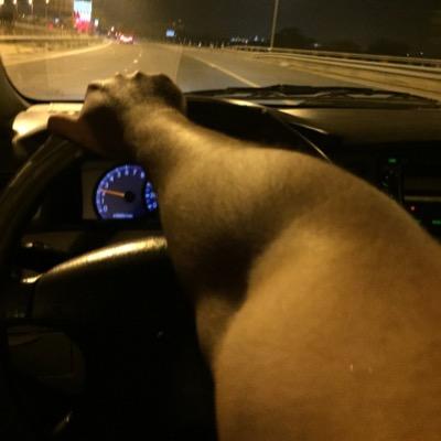 شايبٍ لا جيت له حبيت خشمه وشايبٍ أعطيه خدي و أتعدا