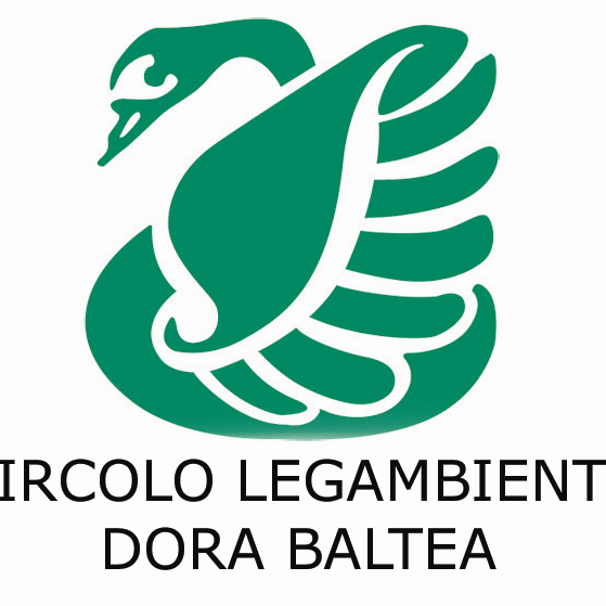 biltea biltea