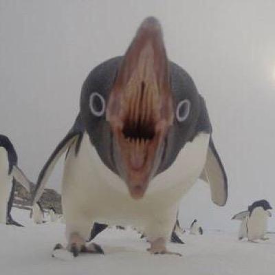 placezmoe Profile Picture