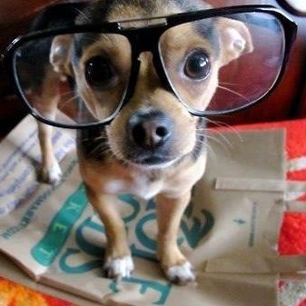 PMS_WORLD's profile picture. Please don't follow me.