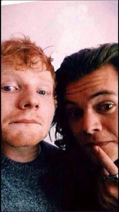 horansbreathx's profile picture. ||Urlare a Niall quel 'love you' in Little things é stata la mia vittoria più grande. 29-06-14.||
A fangirlare con i larry. ✨❤