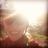 mashedpedals's profile image