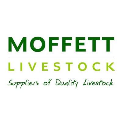 MoffetLivestock's profile picture. Importers of dairy heifers and bulls from Ireland and Europe. Supplying quality stock to the UK Dairy farmer
