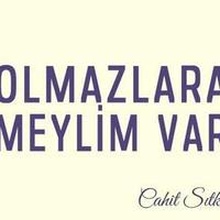 sngldnc (@sngldnc) Twitter profile photo