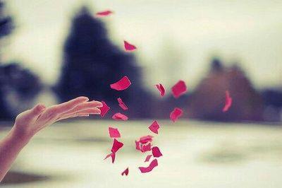 لا اله الا الله ♡
