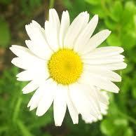 LucyF74's profile picture. 