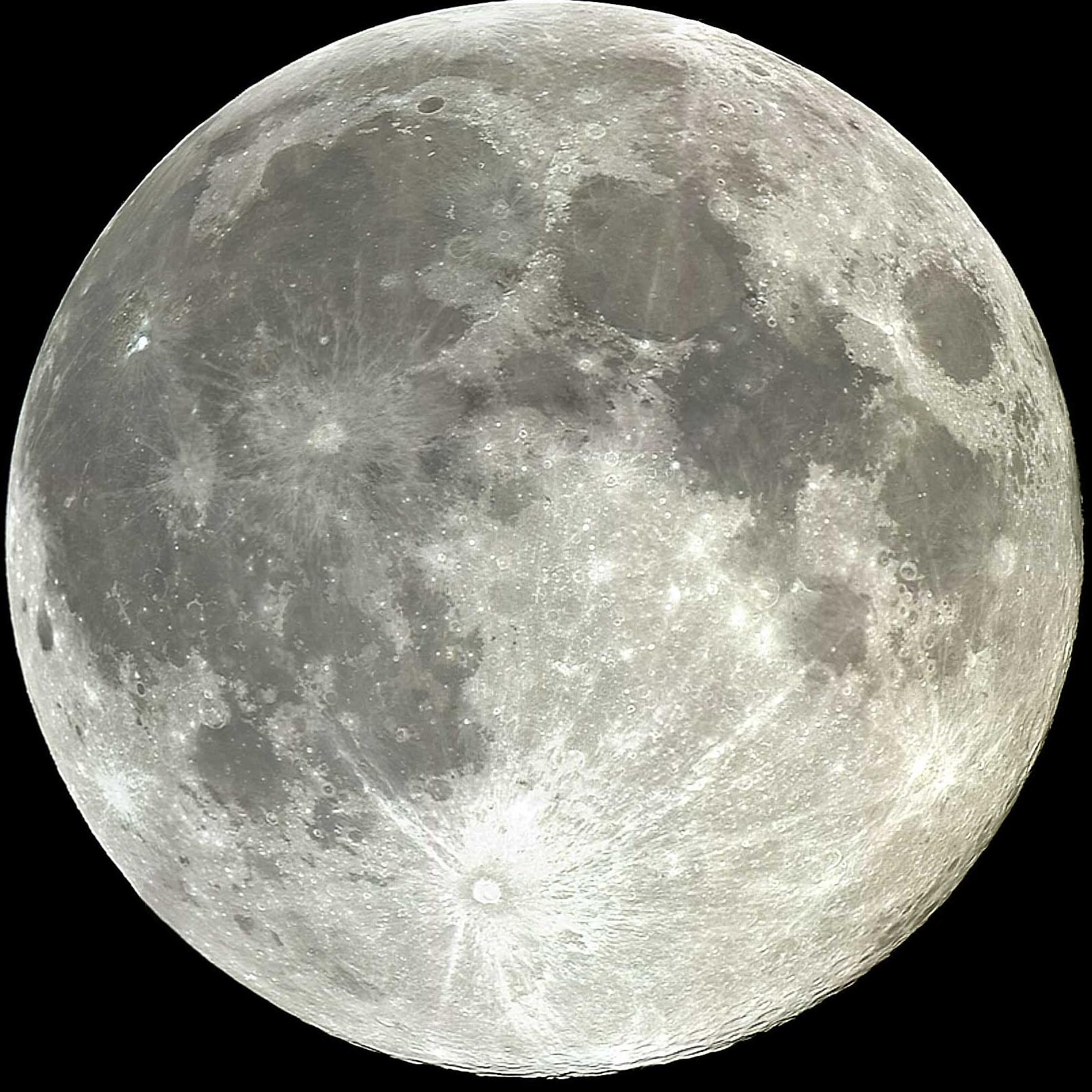 io_1973's profile picture. 