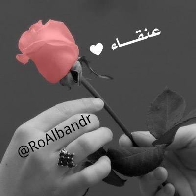 هامورة في المستقبل القريب ،، ضبط علاقتك معاي وتابعني اتابعك الخاص = بلوك
الي تابعني وما تابعته ينبهني منشن