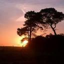 Paul Lines - @lines_paul - Twitter