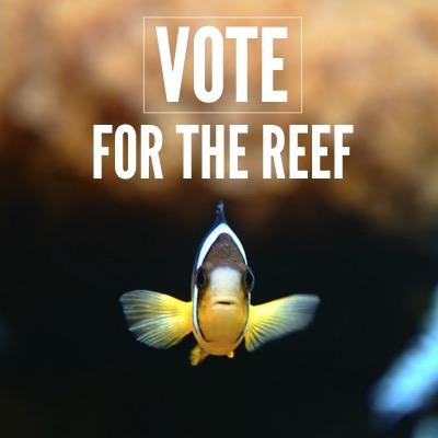 Working to Protect Keppel Bay from Industrialisation and Coal Port Developments. Great Barrier Reef at Risk. #deltabayreef #protectkeppelbay #reefatrisk