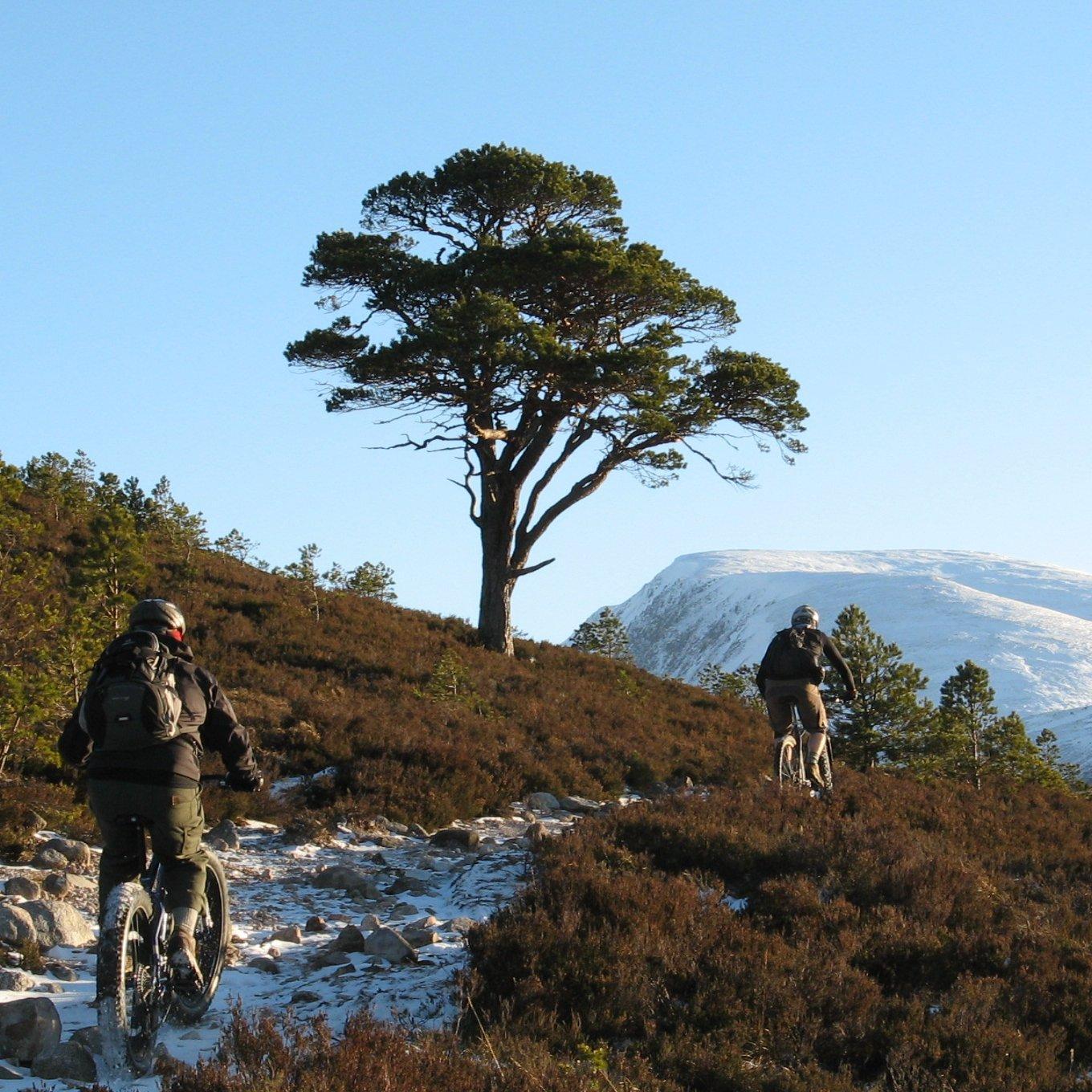 We're a mountain bike shop in Aviemore, the Cairngorms, Scotland. The shop is full of cool stuff and surrounded by wonderful trails.