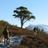 bothybikes's profile image