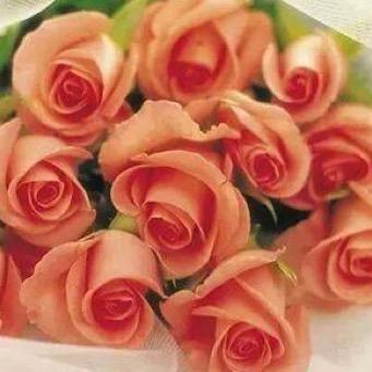 Too much to be thankful for, live love laugh and feel the love surrounding and blessing all around.