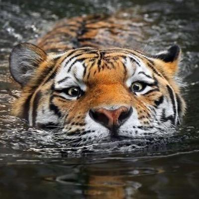 FawziJee's profile picture. 