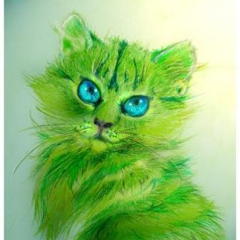 Обычный зеленый котик^__^
