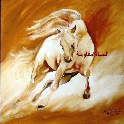 Tottisammari's profile picture. لست بتلِك التي تهوى المعجزات ولكني اهوى من يرفع قدري ويكتفي بي