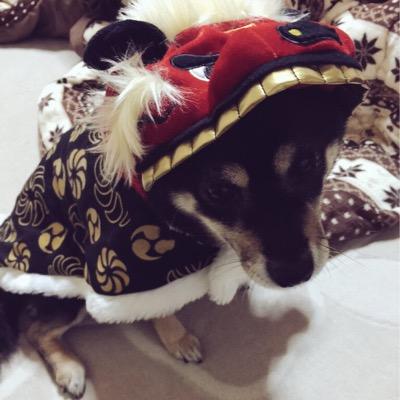 青宮さんのプロフィール画像