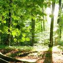 Peter Sommer - @pscoranima1 - Twitter