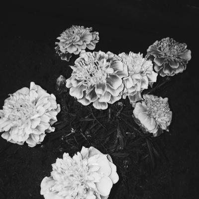 imalostshadow's profile picture. instagram: httpgrunge.me & maitegomez.t & w.a.o_shop