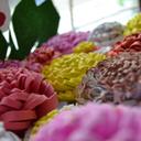 Samuel Javed - @samuel0javed - Twitter