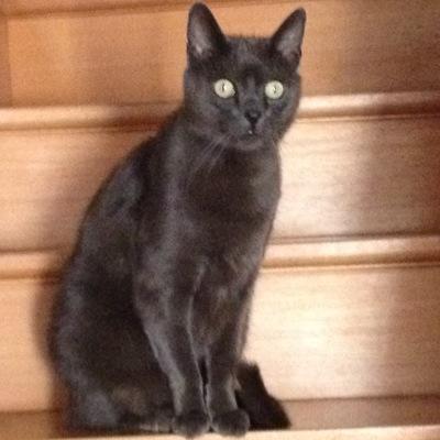 lacasa86's profile picture. J aime la vie ....