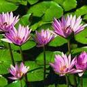 Robert Cebula - @robert_cebula - Twitter