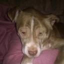 memaw - @ConnieGranger2 - Twitter