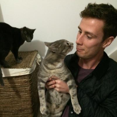 iambengibson's profile picture. 