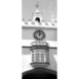 totnes (@totnes) Twitter profile photo totnes (@totnes) Twitter profile photo