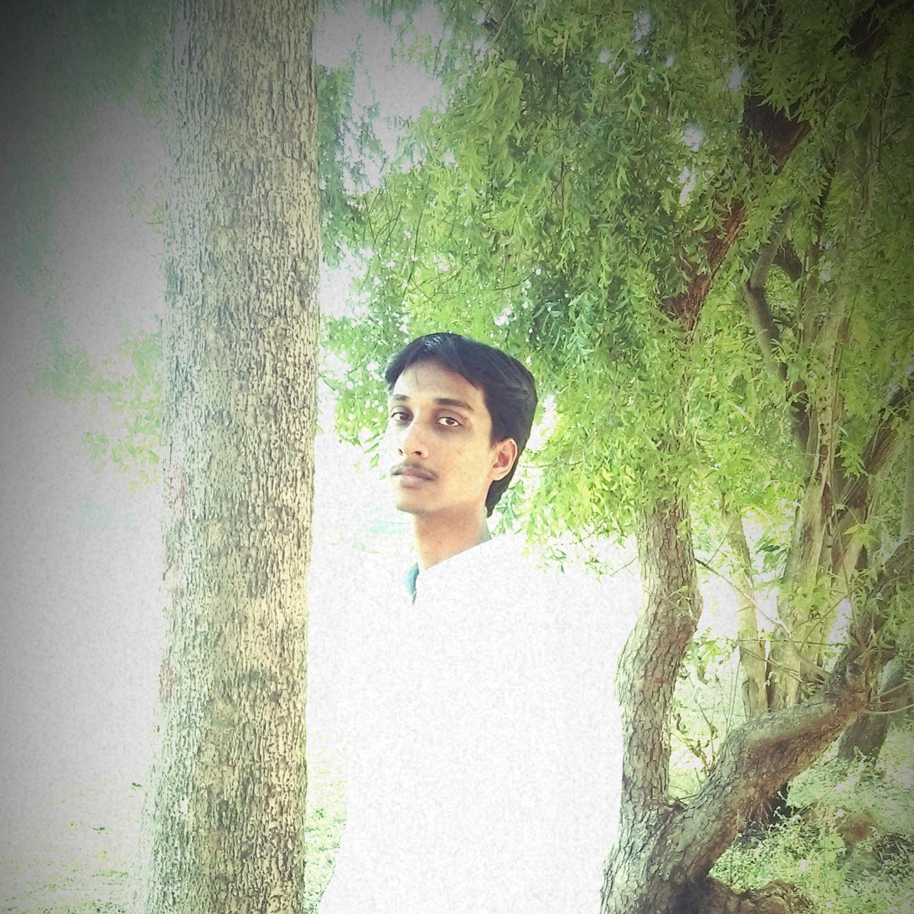 ||MSD~~FCB~~single ||