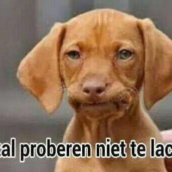 bslopertje's profile picture. 