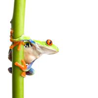 Altamire (@altamireconseil) 's Twitter Profile