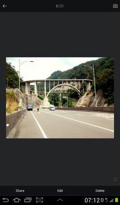 lizagladis85's profile picture. 