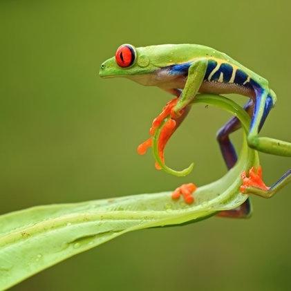 mufflelow's profile picture. Drummer, Technician, Pillowmaker, Human