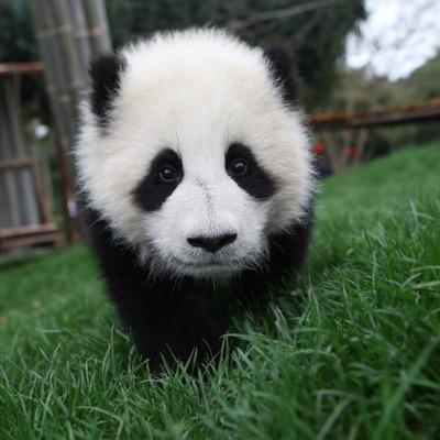ツイートでは、ラブライブのことや、日常生活で起こった出来事などをツイートしています！フォロバは必ずしますので、フォローしてくれれば嬉しいです。