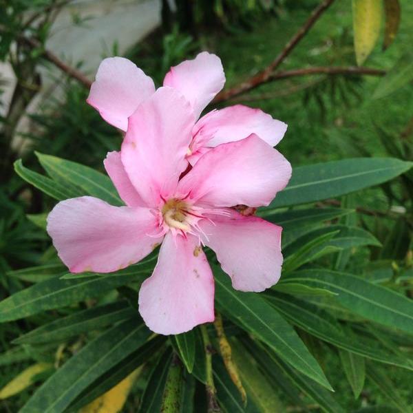 ddixon1505's profile picture. 