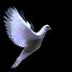 Arcis Indonesia (@0292def491484f7) Twitter