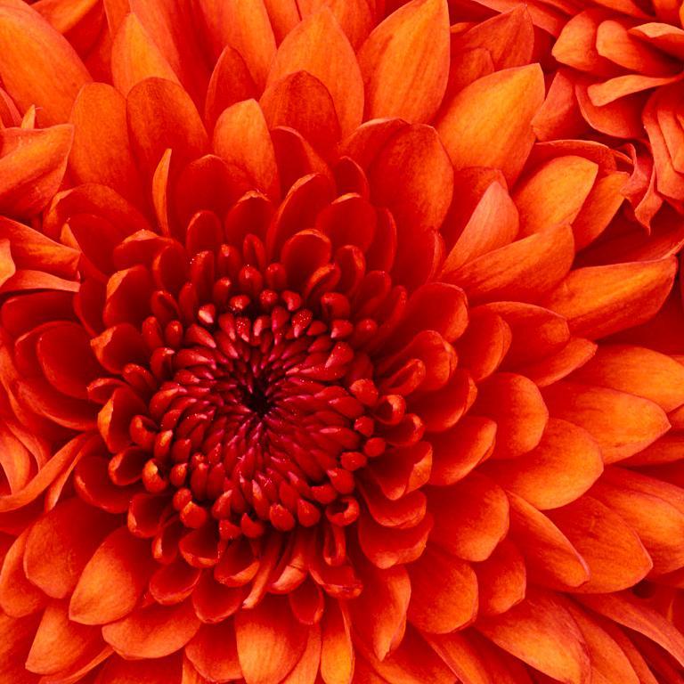 jenna19233000's profile picture. 