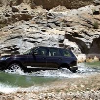 monroevillerove's profile picture. 