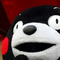 もか (@mocha_mocha11) 's Twitter Profile