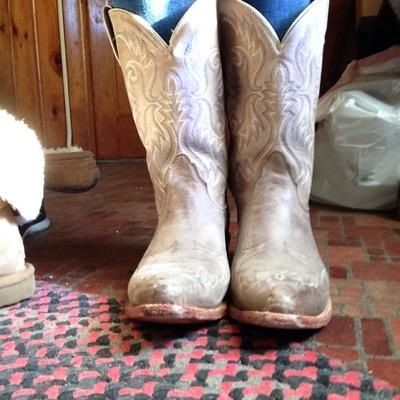 countrycamo_gal's profile picture. strong as a fifth of whiskey