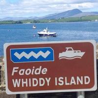 Whiddy Island (@whiddyisland) 's Twitter Profile Photo Whiddy Island (@whiddyisland) 's Twitter Profile Photo